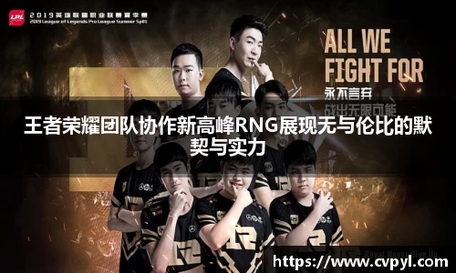 王者荣耀团队协作新高峰RNG展现无与伦比的默契与实力